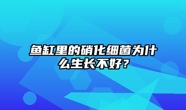 鱼缸里的硝化细菌为什么生长不好？