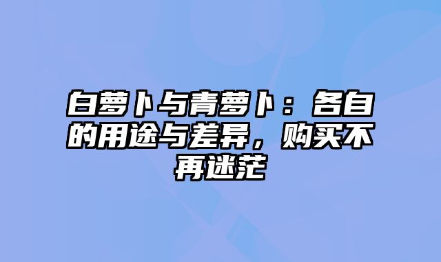 白萝卜与青萝卜：各自的用途与差异，购买不再迷茫