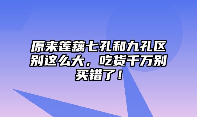 原来莲藕七孔和九孔区别这么大，吃货千万别买错了！