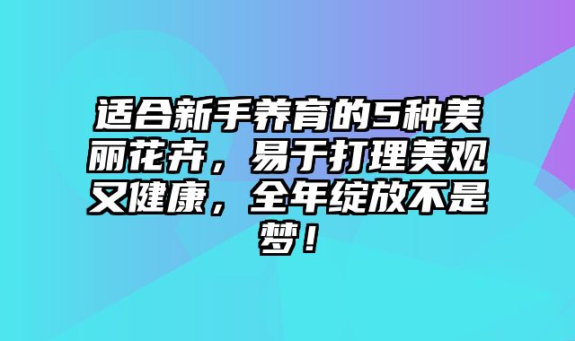 适合新手养育的5种美丽花卉，易于打理美观又健康，全年绽放不是梦！