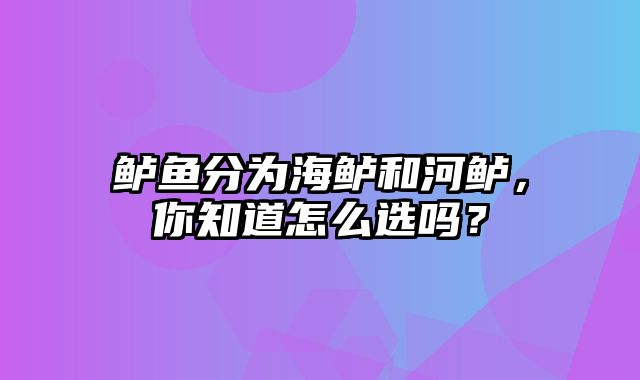 鲈鱼分为海鲈和河鲈，你知道怎么选吗？